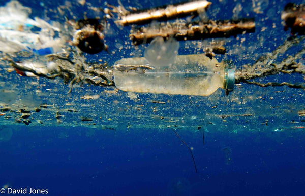 Nachgefragt bei Jo Ruxton von der Plastic Ocean Foundation. Die preisgekrönte Doku über das globale Plastikmüll Problem.